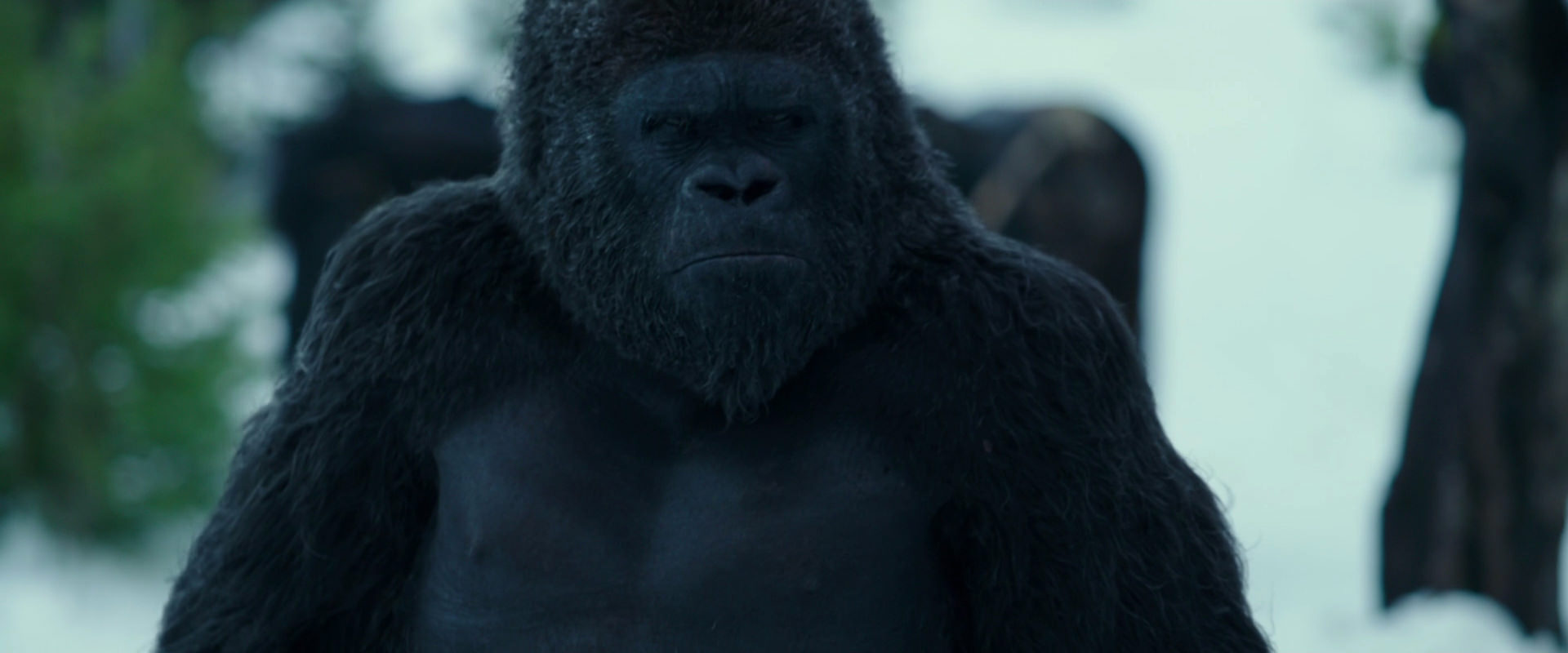 War for the Planet of the Apes (2017) movie still 6280
