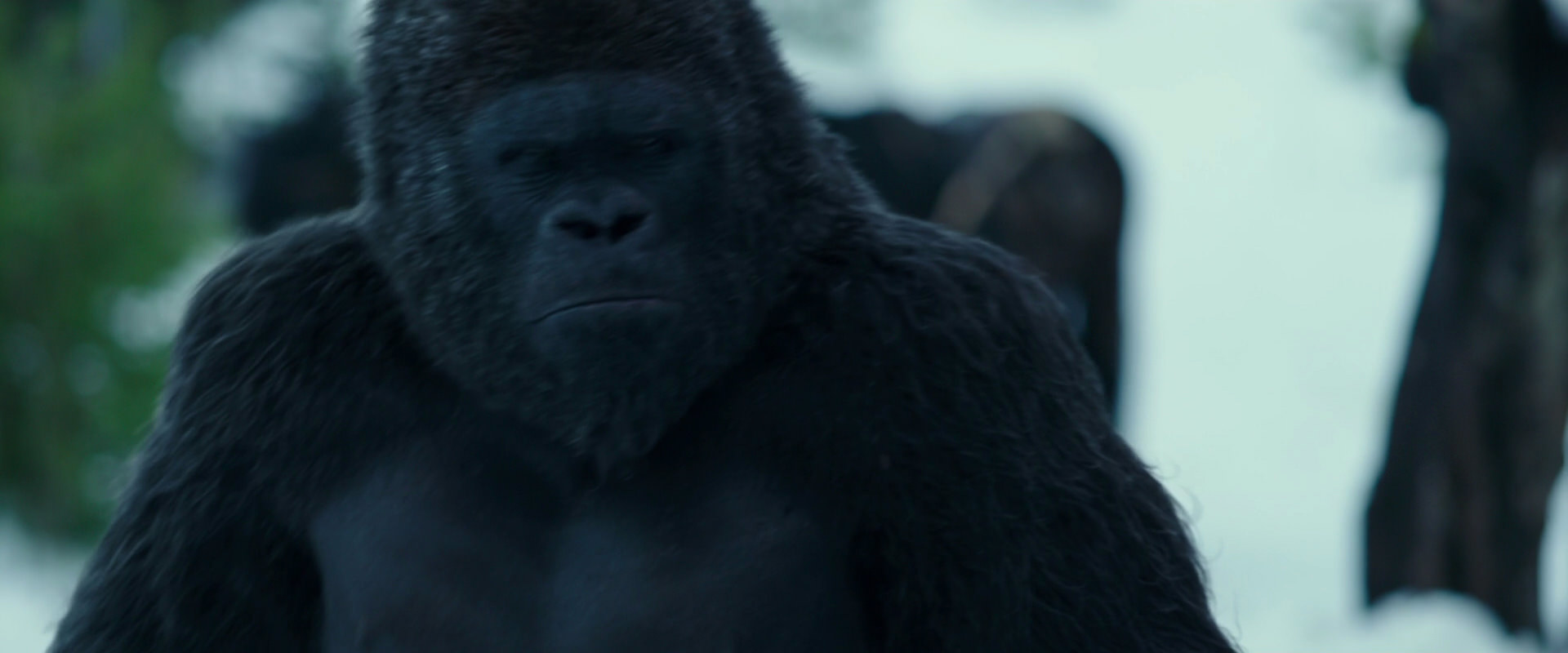 War for the Planet of the Apes (2017) HD screenshot 6281