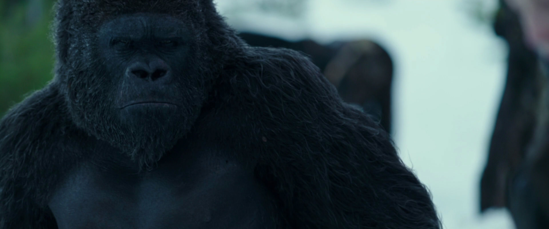 War for the Planet of the Apes (2017) screencap 6282
