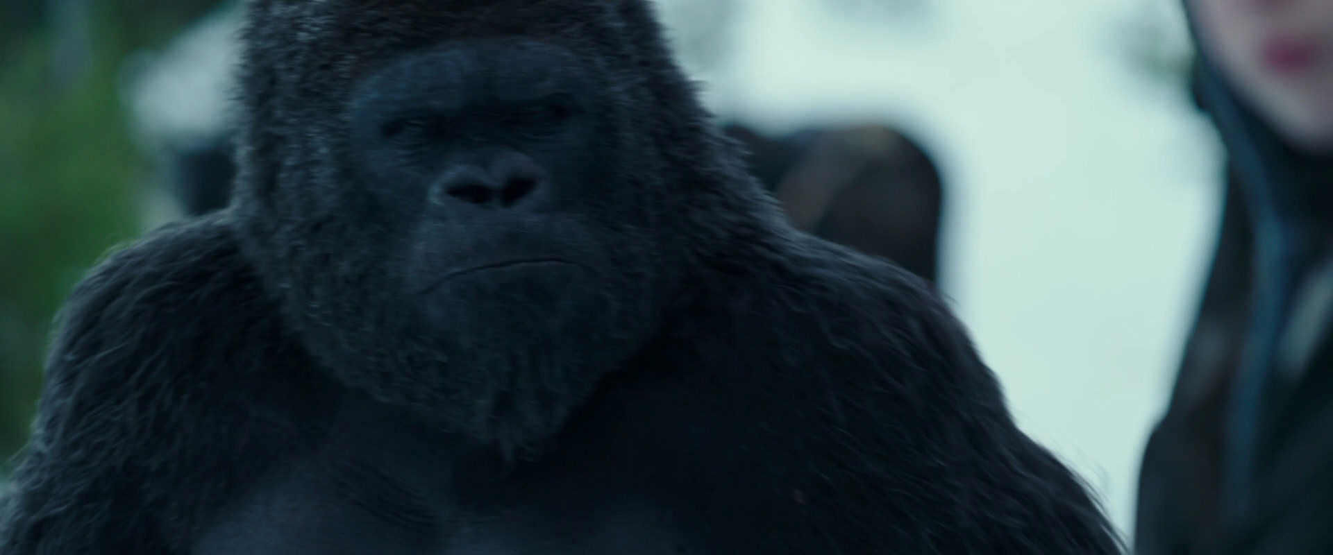 War for the Planet of the Apes (2017) movie still 6283