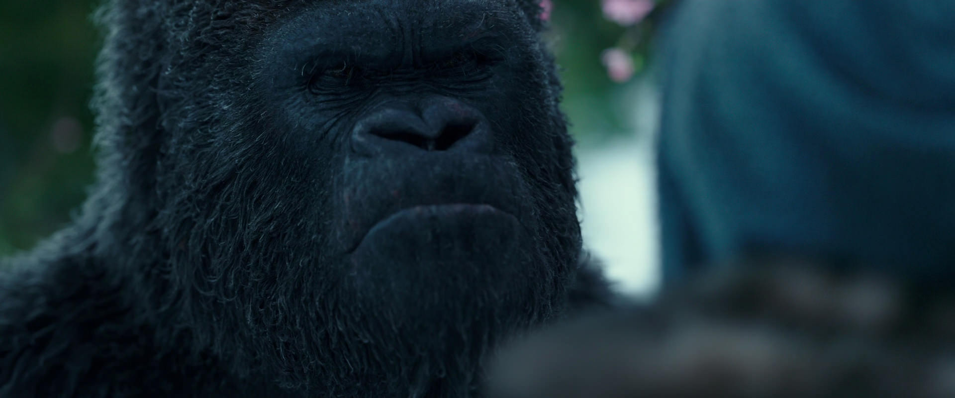 War for the Planet of the Apes (2017) screencap 6291
