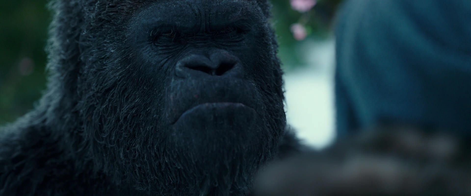 War for the Planet of the Apes (2017) movie still 6292