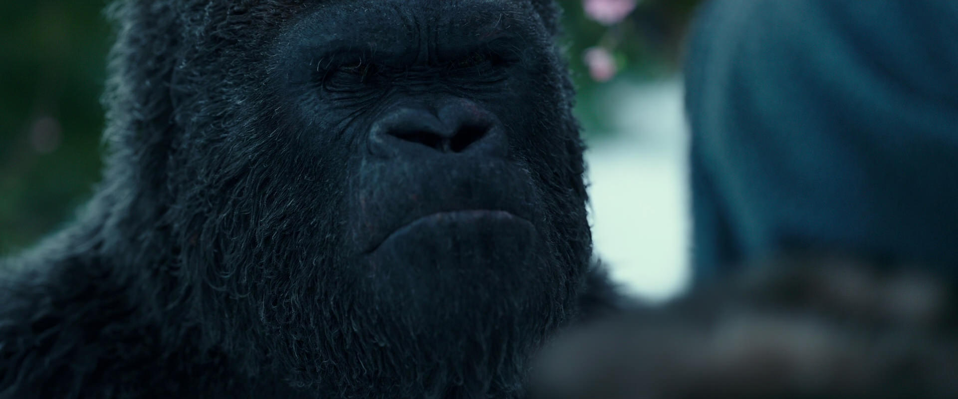 War for the Planet of the Apes (2017) HD screenshot 6293