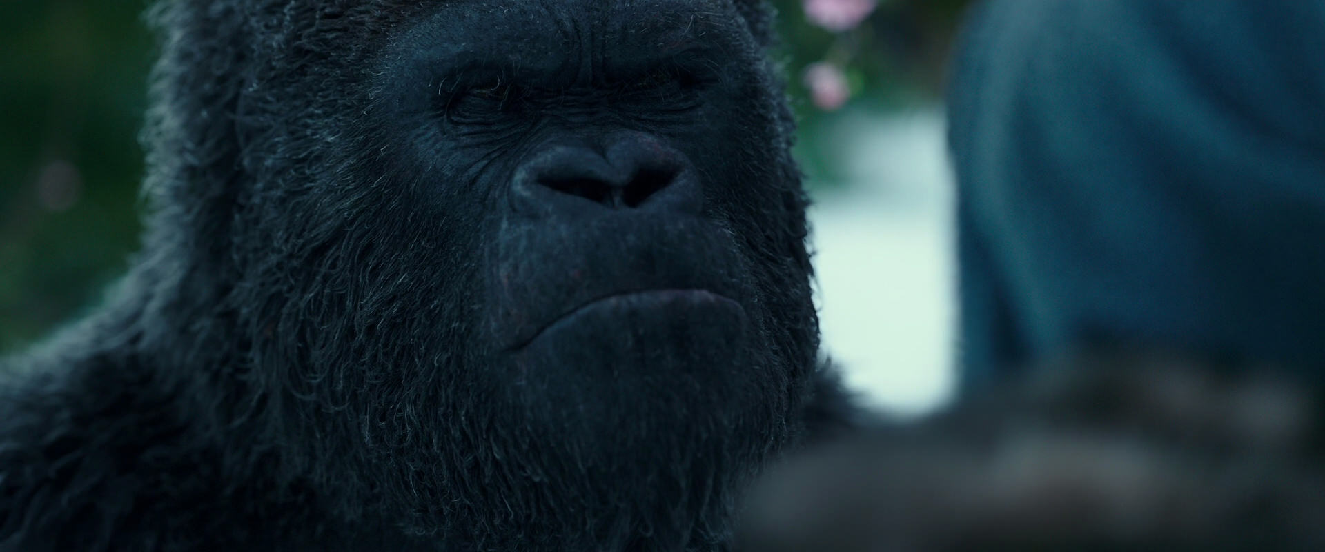 War for the Planet of the Apes (2017) screencap 6294
