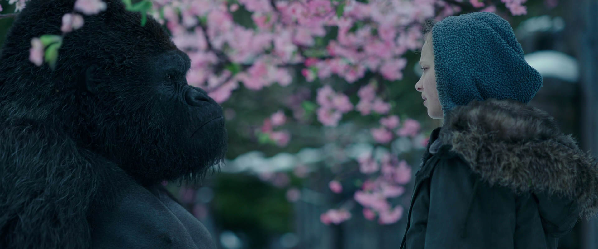 War for the Planet of the Apes (2017) screencap 6297