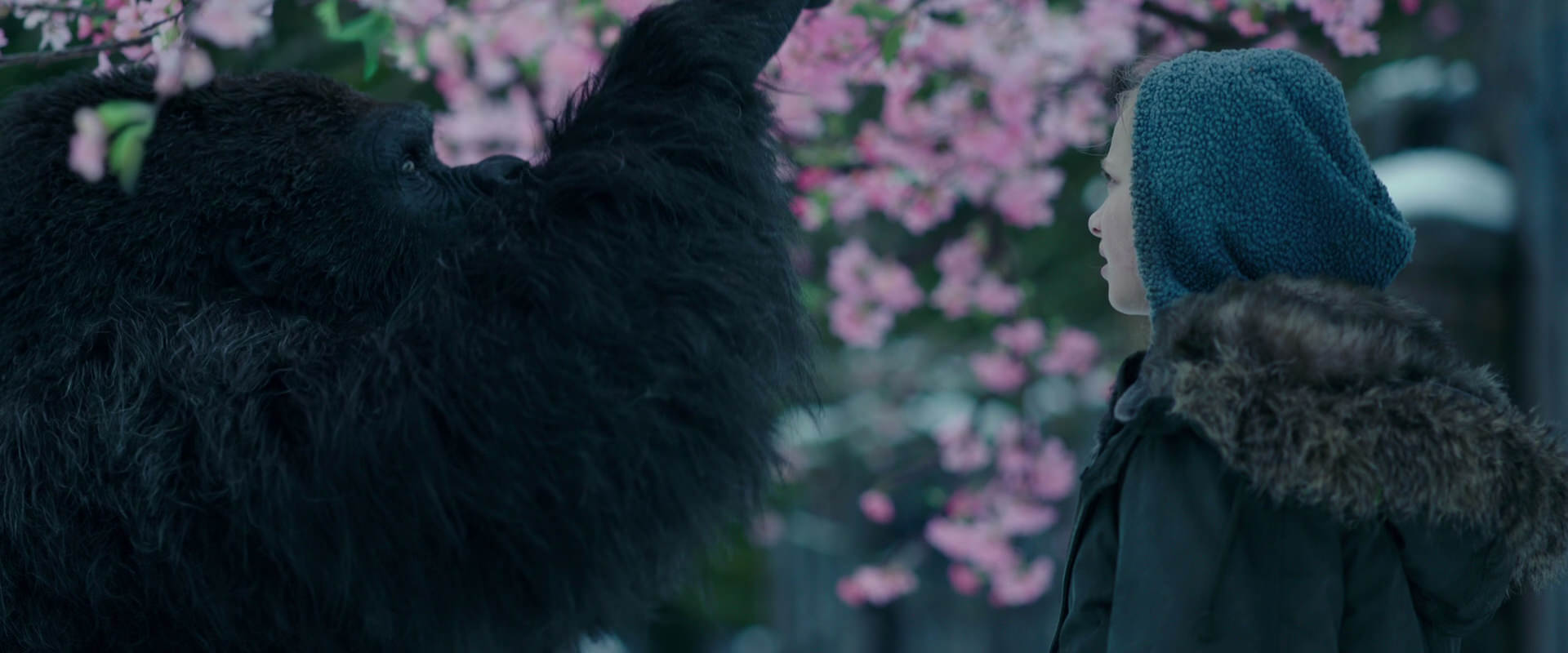War for the Planet of the Apes (2017) HD screenshot 6299