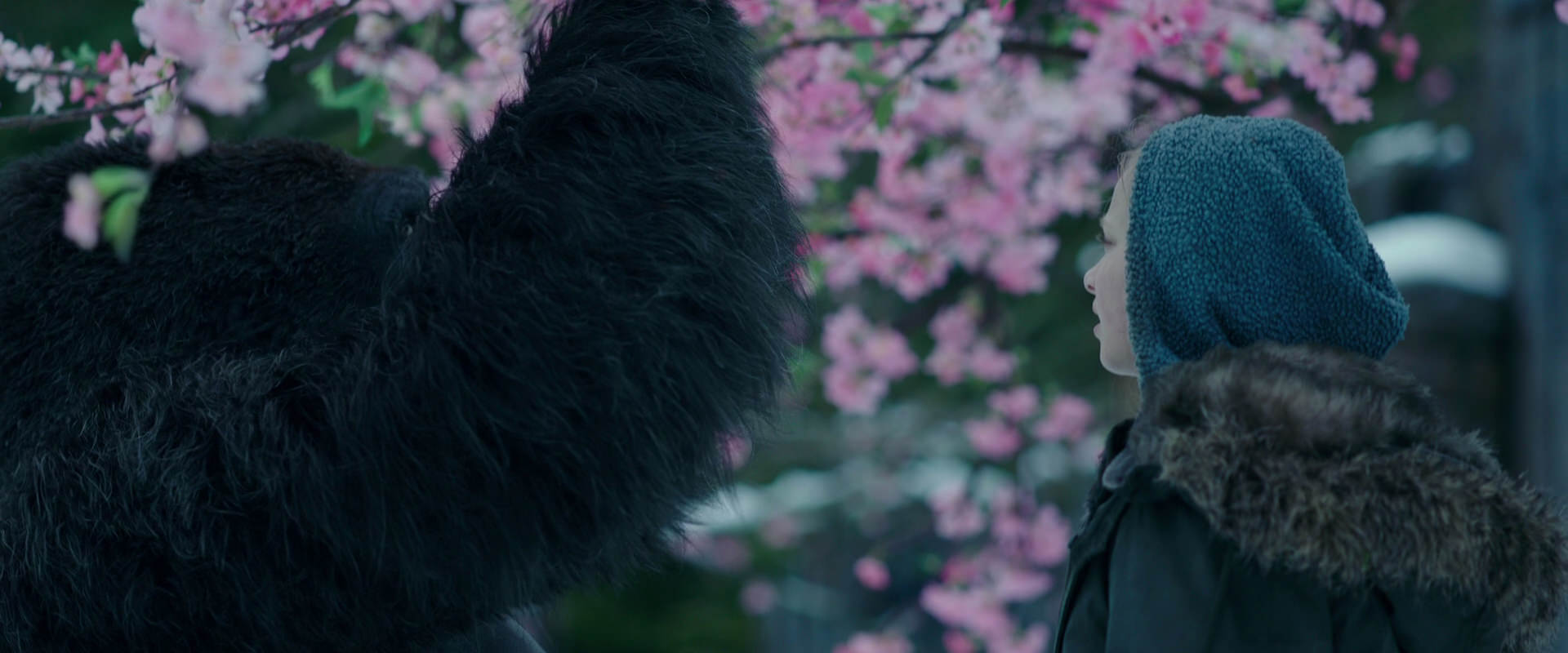War for the Planet of the Apes (2017) screencap 6300