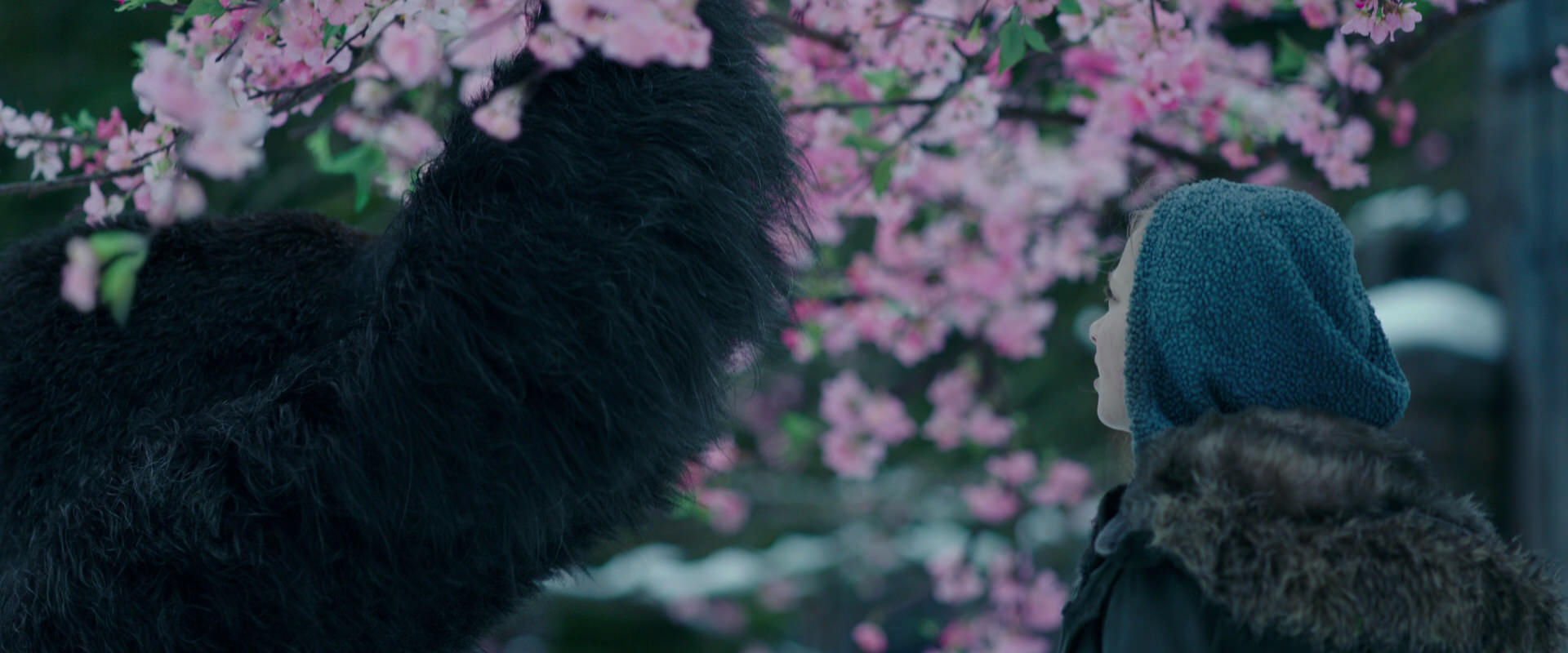 War for the Planet of the Apes (2017) movie still 6301