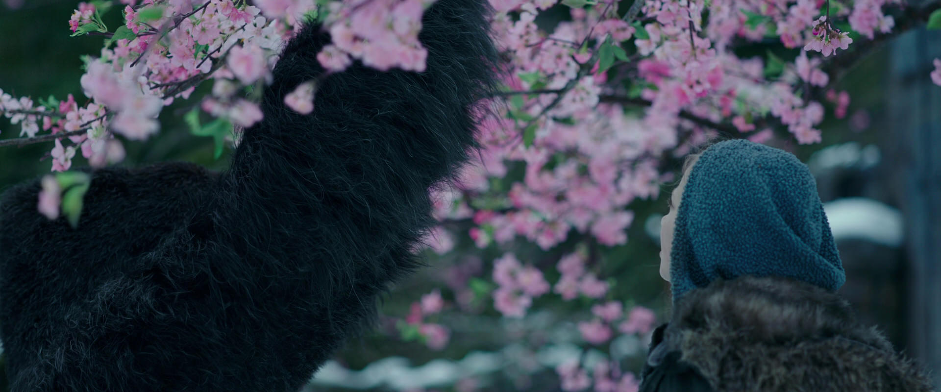 War for the Planet of the Apes (2017) screencap 6303