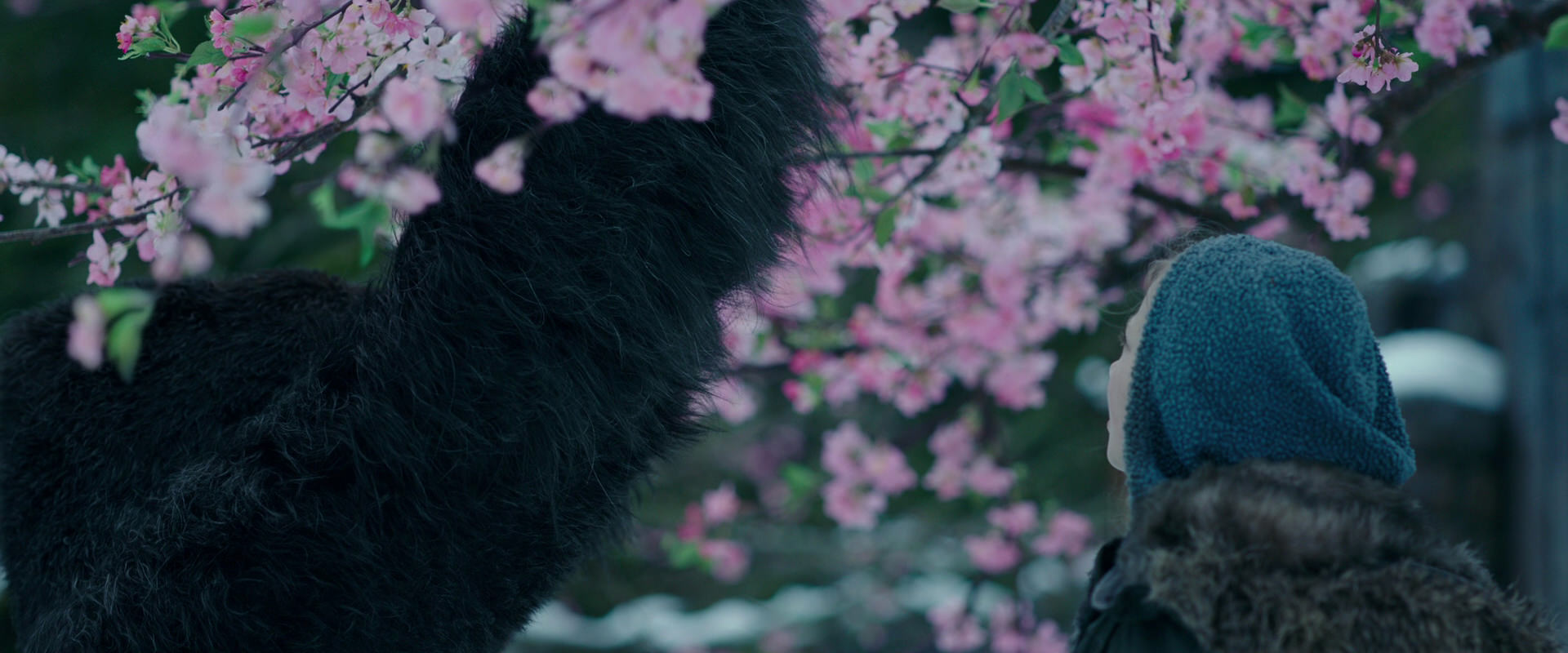War for the Planet of the Apes (2017) movie still 6304