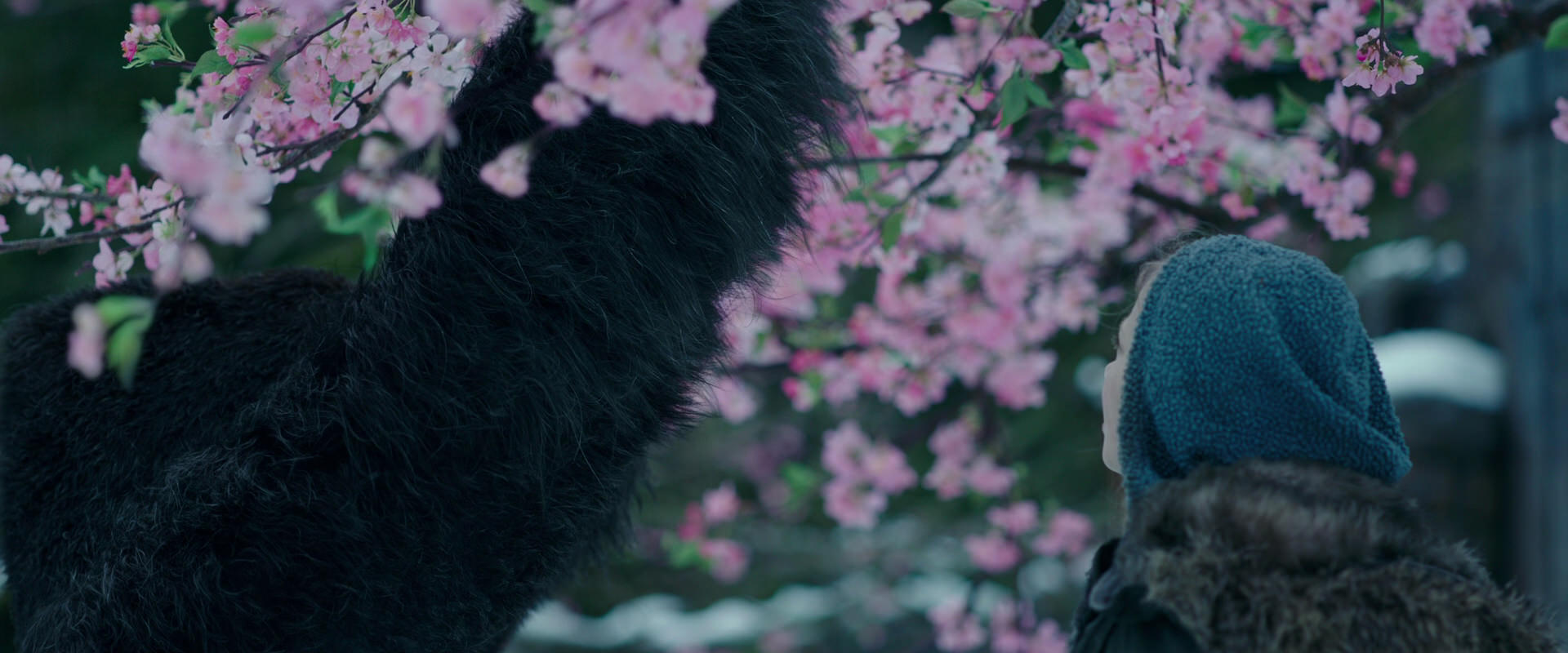 War for the Planet of the Apes (2017) HD screenshot 6305