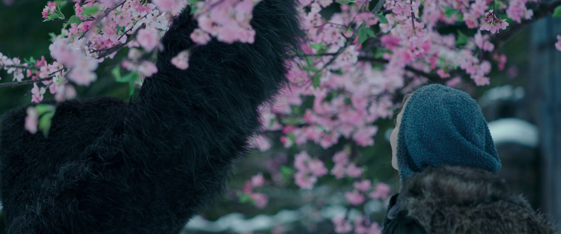 War for the Planet of the Apes (2017) screencap 6306