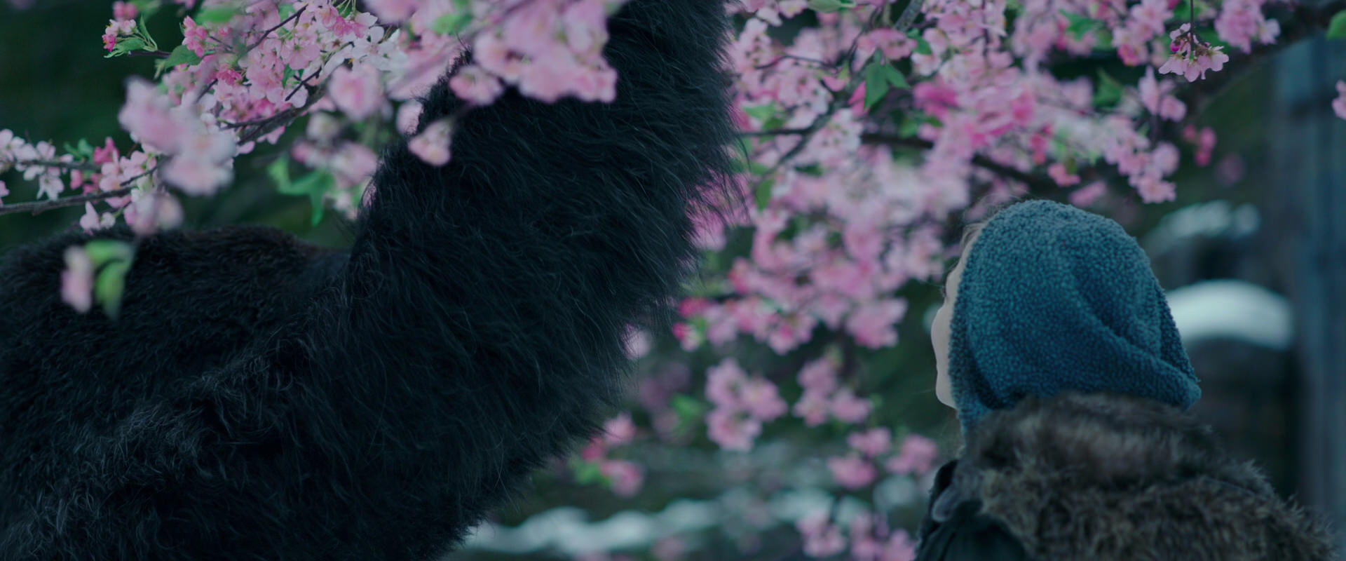 War for the Planet of the Apes (2017) HD screenshot 6308