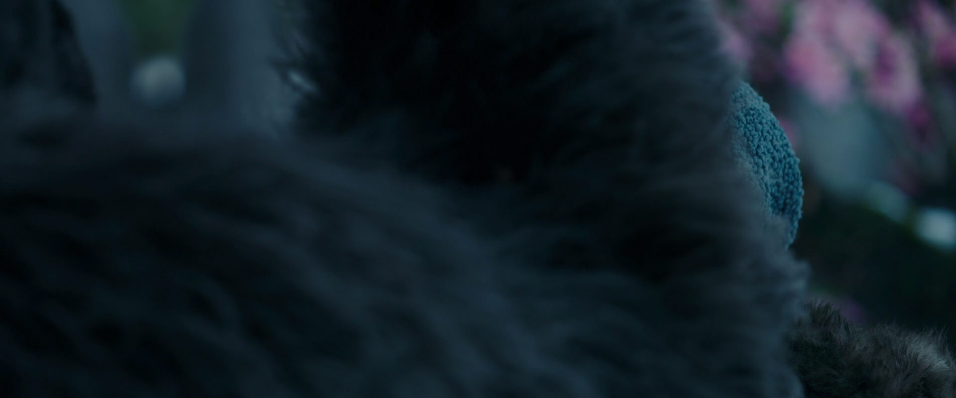 War for the Planet of the Apes (2017) screencap 6309