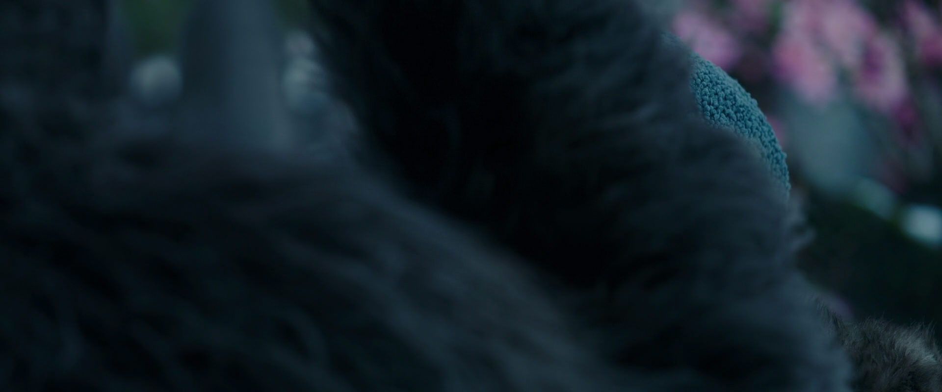 War for the Planet of the Apes (2017) movie still 6310