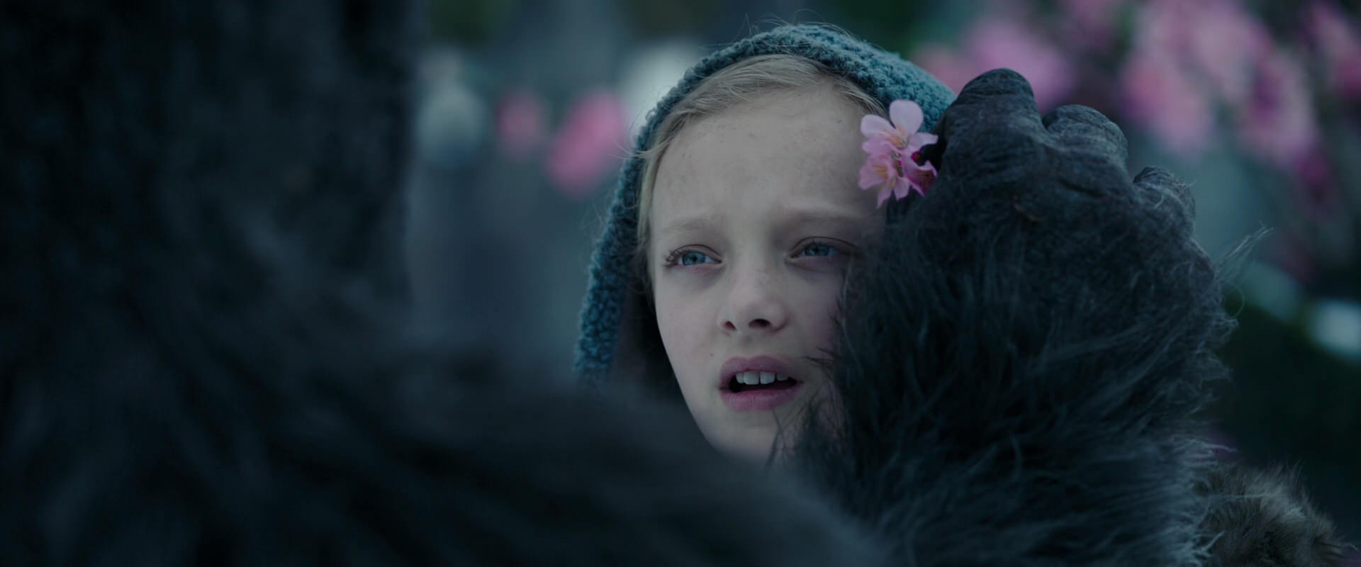 War for the Planet of the Apes (2017) movie still 6319
