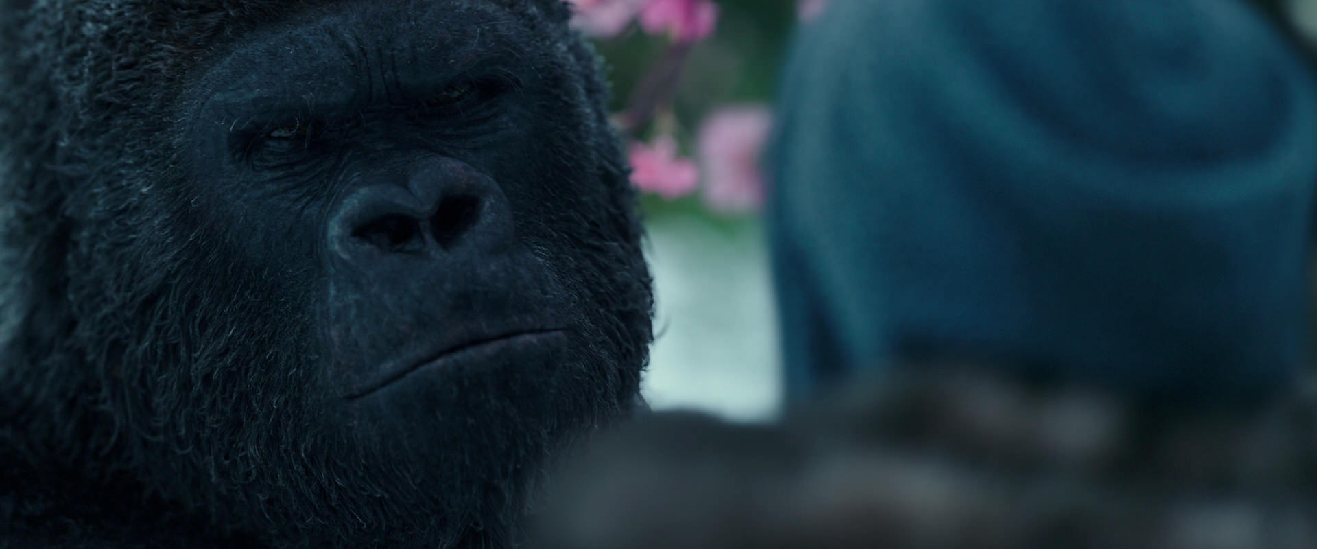 War for the Planet of the Apes (2017) screencap 6333