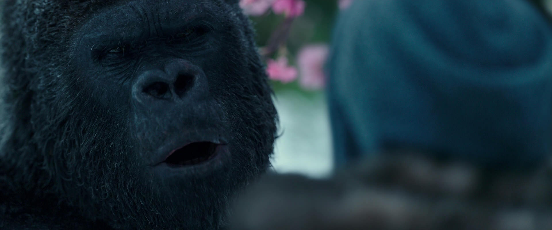 War for the Planet of the Apes (2017) movie still 6334