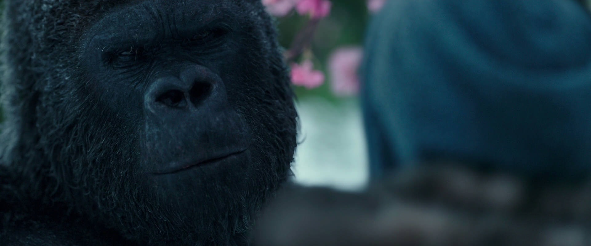 War for the Planet of the Apes (2017) HD screenshot 6335