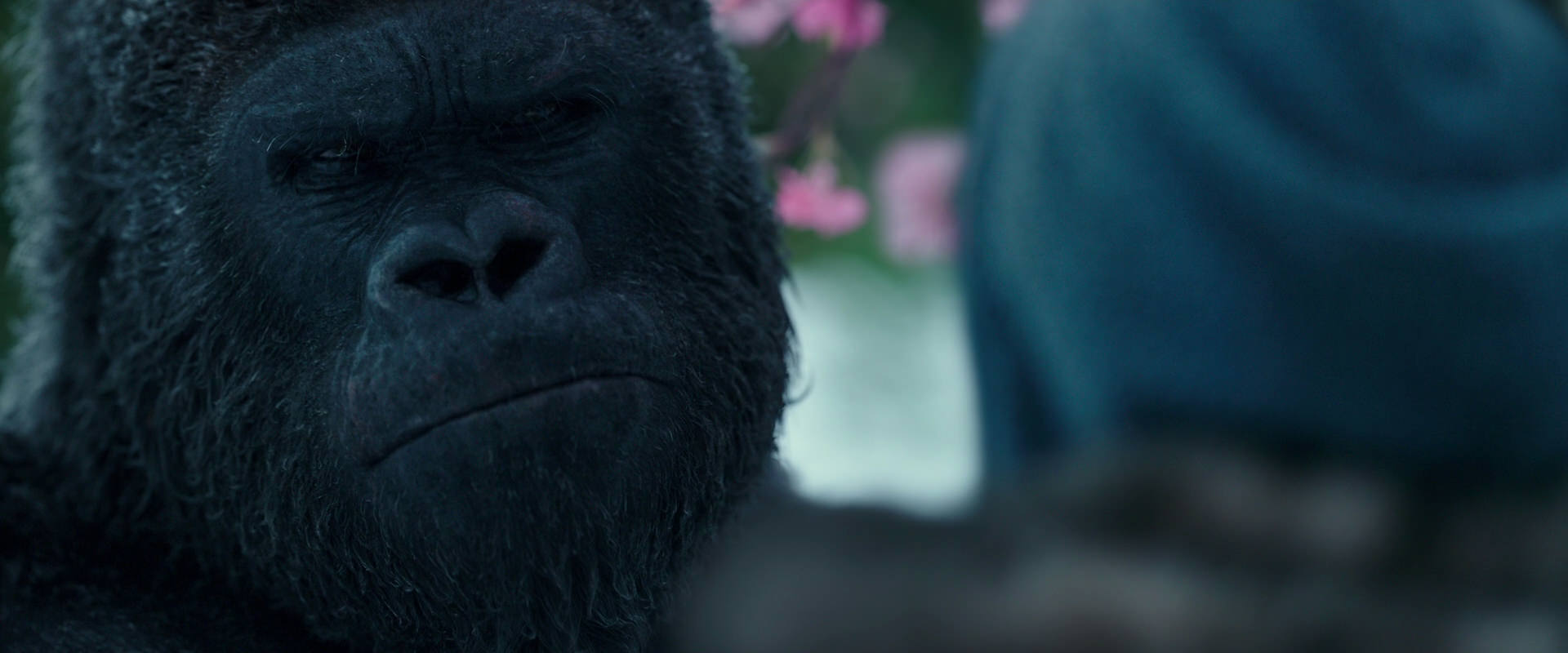 War for the Planet of the Apes (2017) screencap 6336