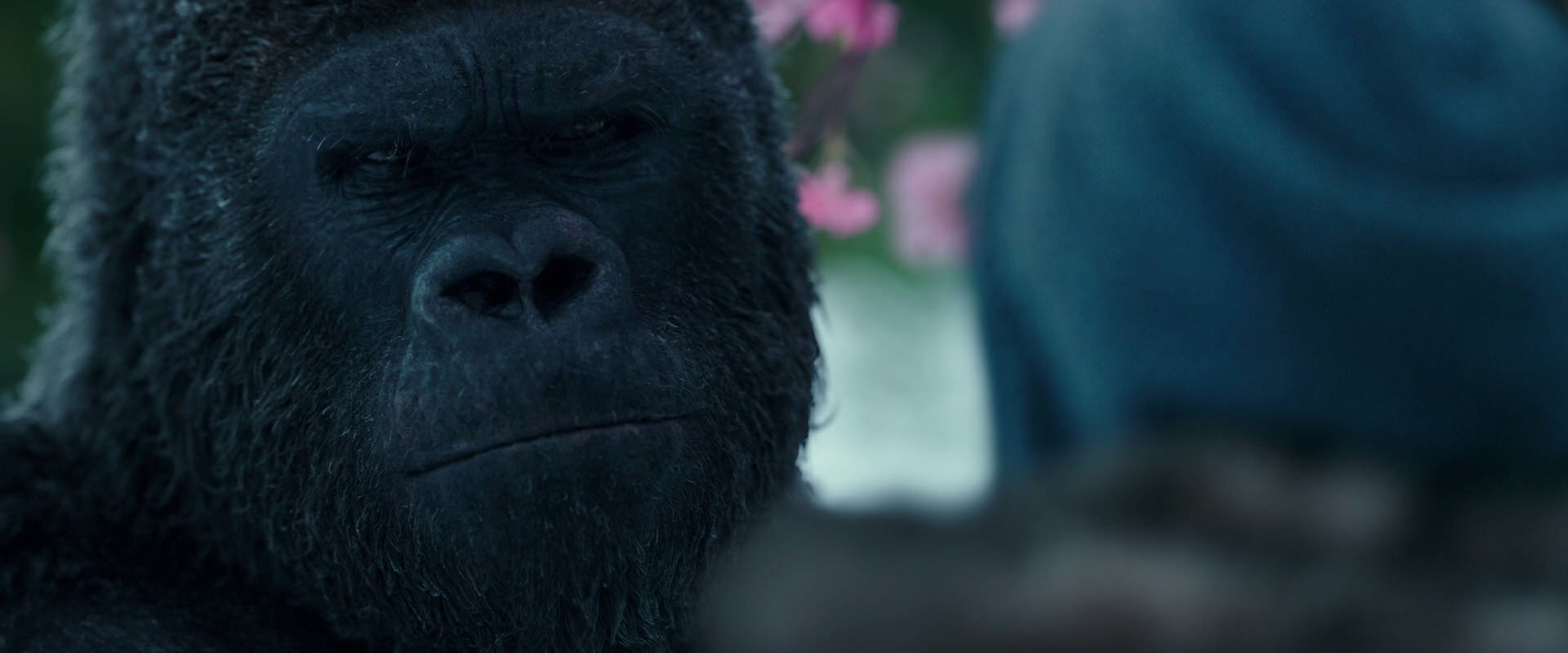 War for the Planet of the Apes (2017) HD screenshot 6338