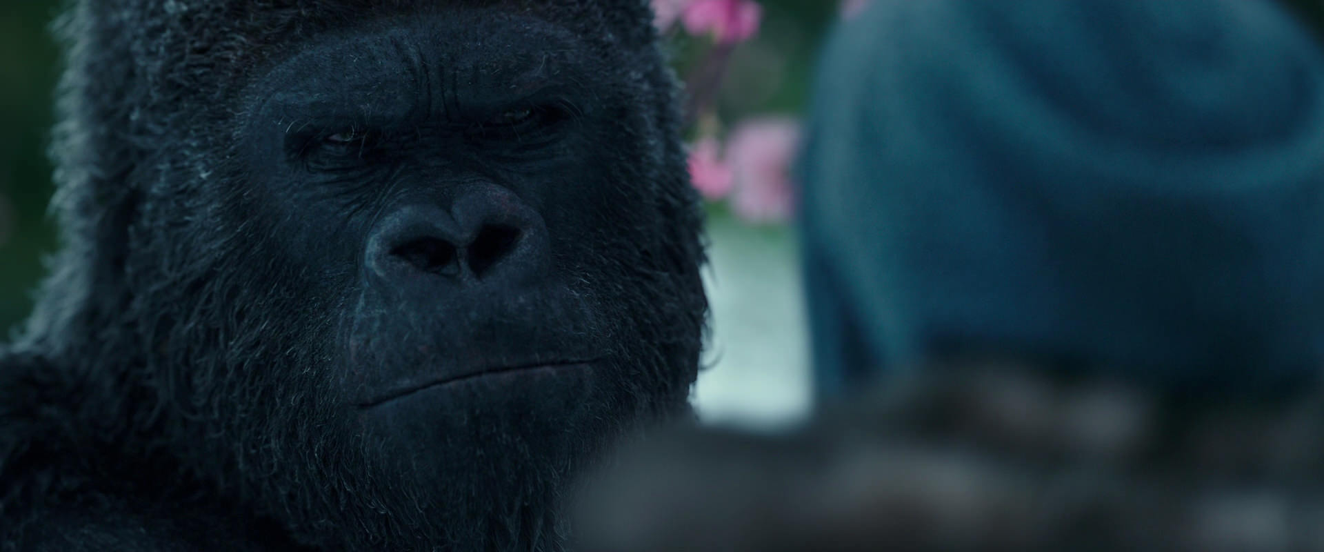 War for the Planet of the Apes (2017) screencap 6339