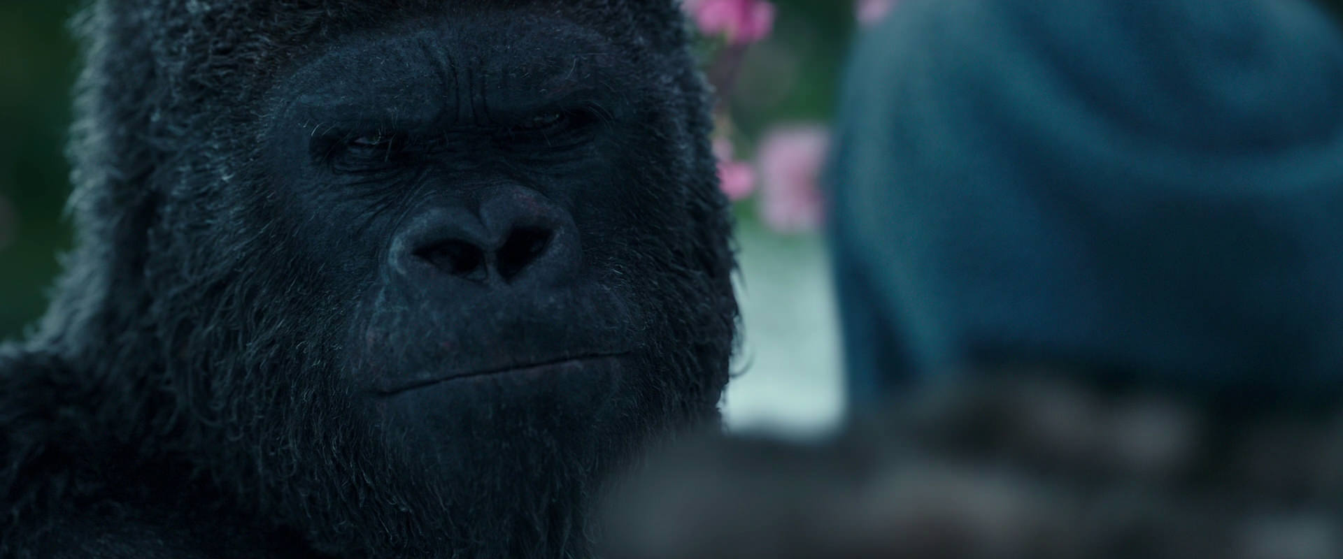 War for the Planet of the Apes (2017) movie still 6340