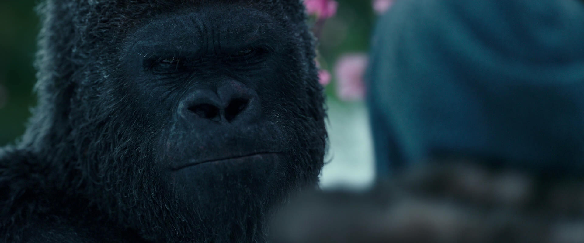 War for the Planet of the Apes (2017) HD screenshot 6341