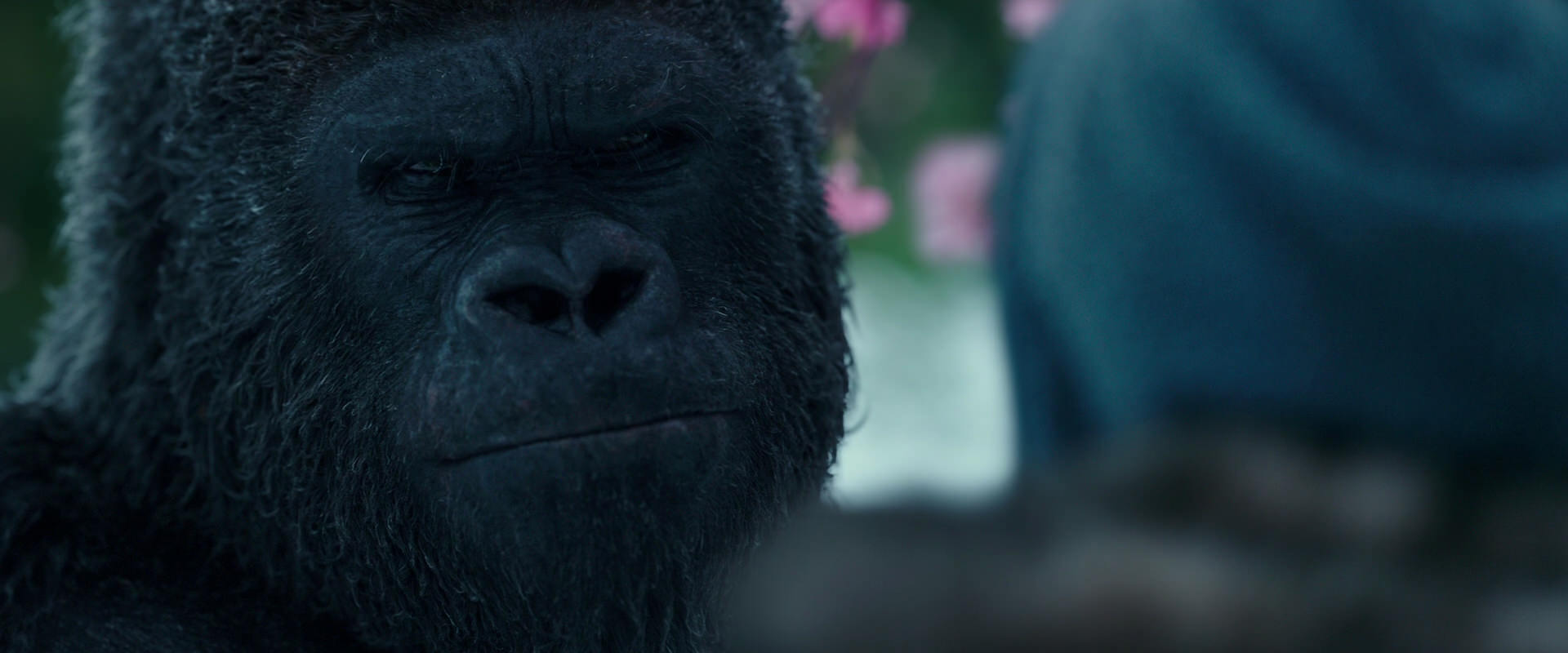 War for the Planet of the Apes (2017) screencap 6342