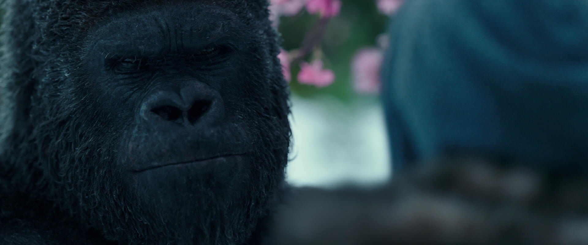 War for the Planet of the Apes (2017) HD screenshot 6344