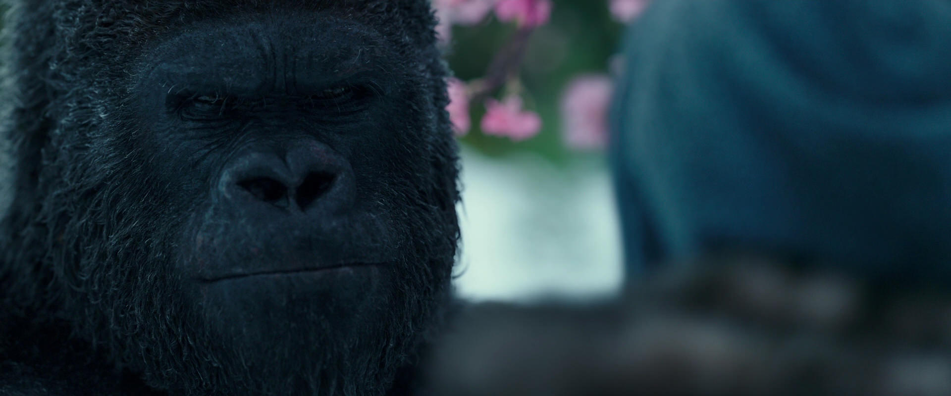 War for the Planet of the Apes (2017) screencap 6345