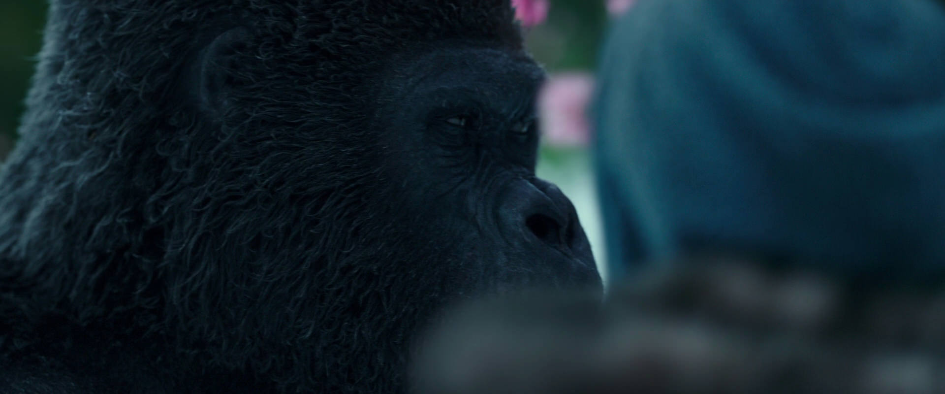 War for the Planet of the Apes (2017) HD screenshot 6347