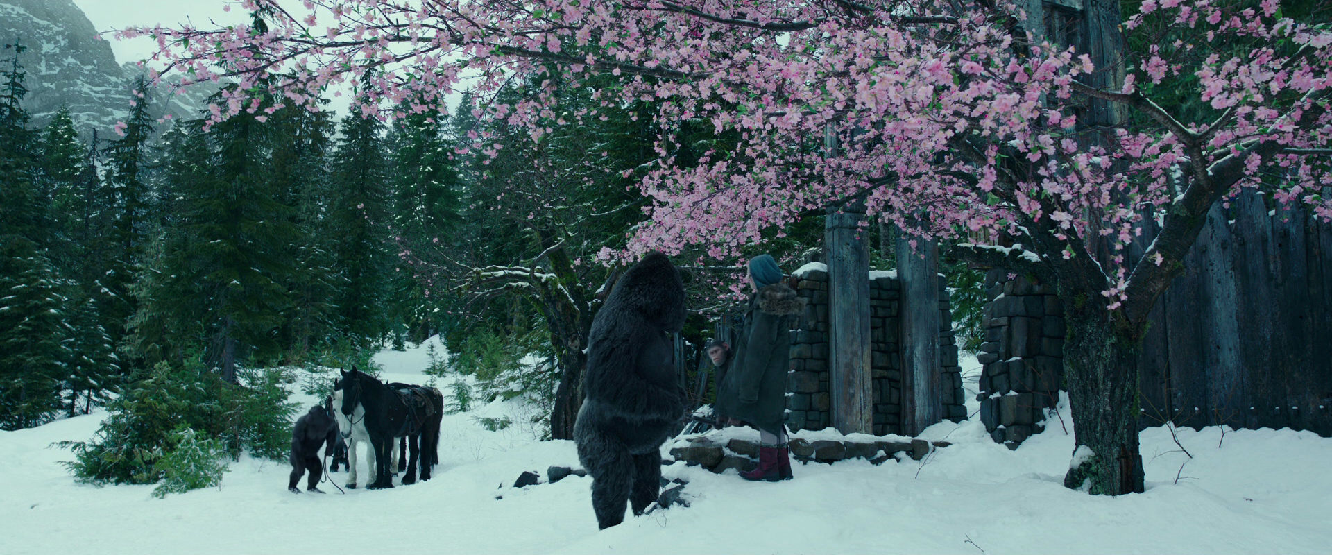 War for the Planet of the Apes (2017) screencap 6348