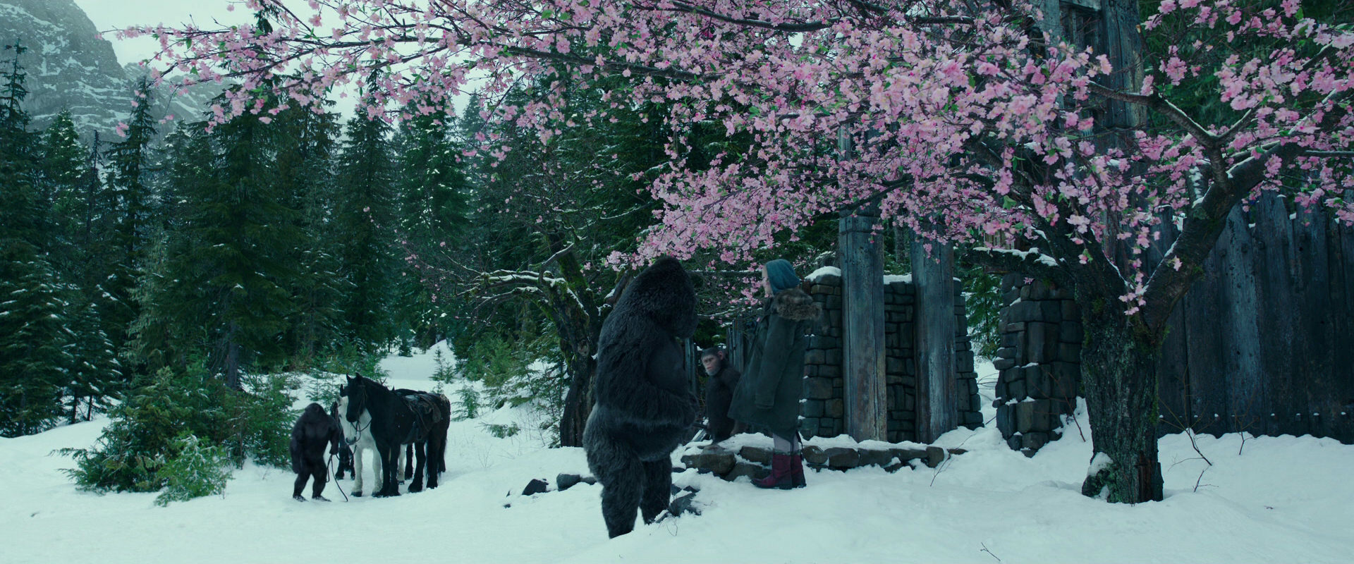 War for the Planet of the Apes (2017) movie still 6349