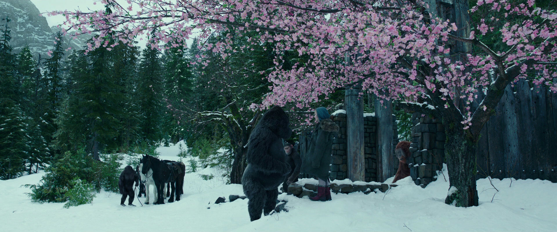 War for the Planet of the Apes (2017) HD screenshot 6350