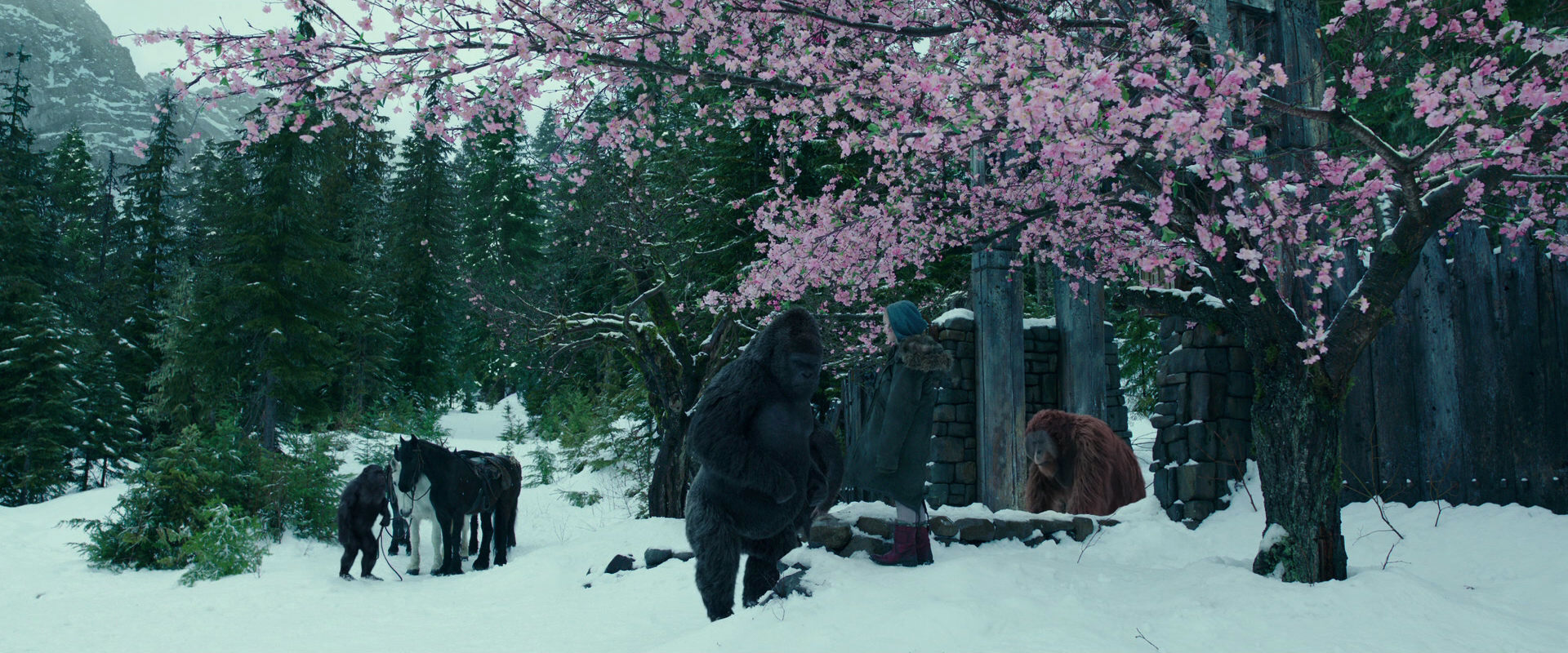 War for the Planet of the Apes (2017) movie still 6352