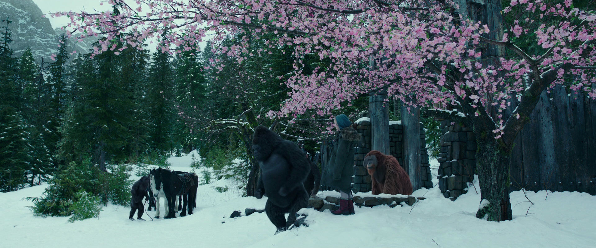 War for the Planet of the Apes (2017) movie still 6355