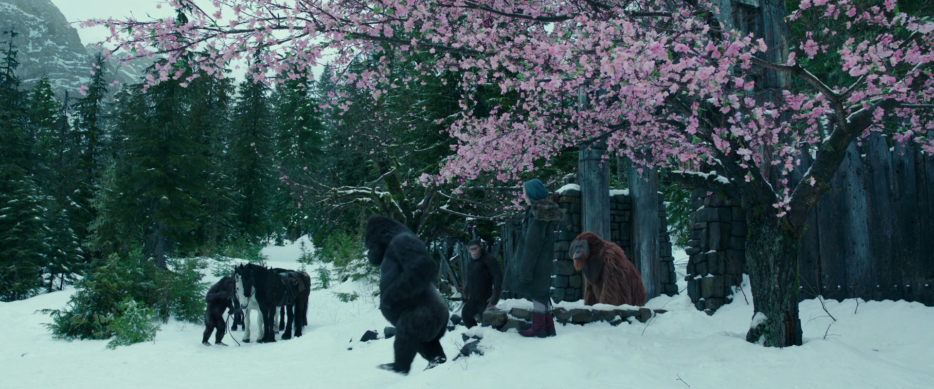 War for the Planet of the Apes (2017) HD screenshot 6356