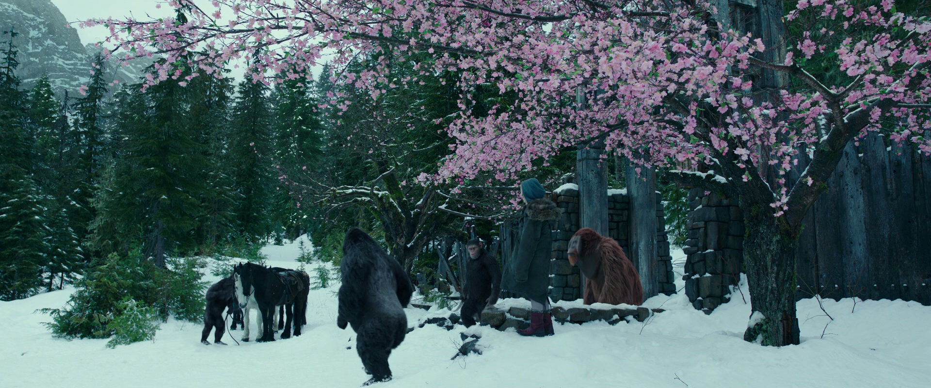 War for the Planet of the Apes (2017) screencap 6357