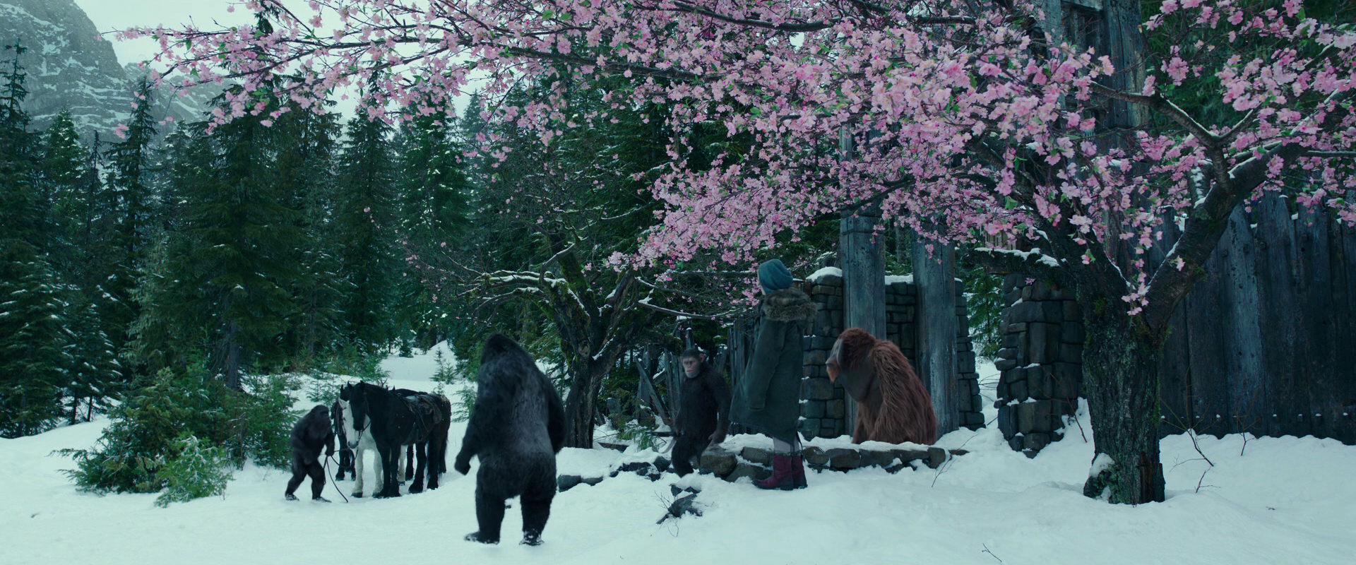 War for the Planet of the Apes (2017) movie still 6358
