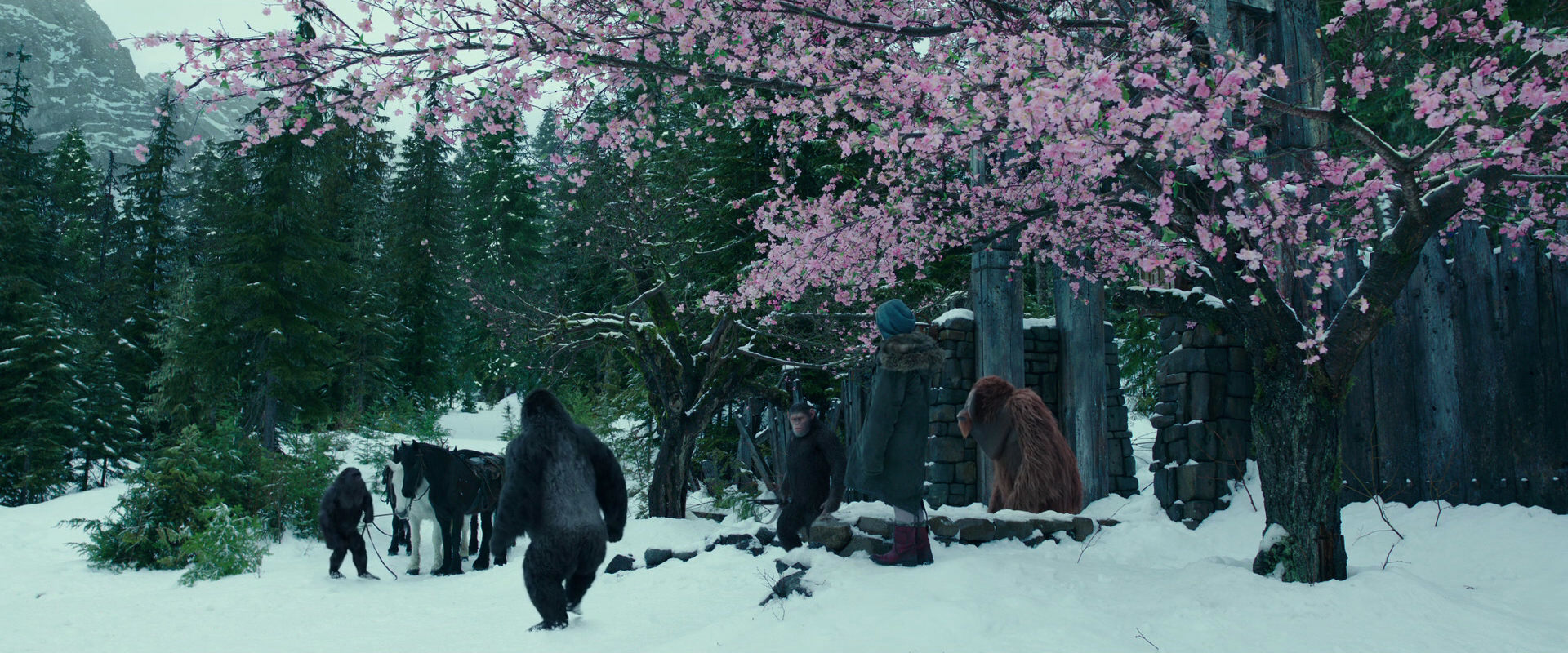 War for the Planet of the Apes (2017) HD screenshot 6359