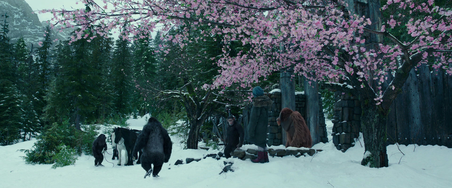 War for the Planet of the Apes (2017) screencap 6360