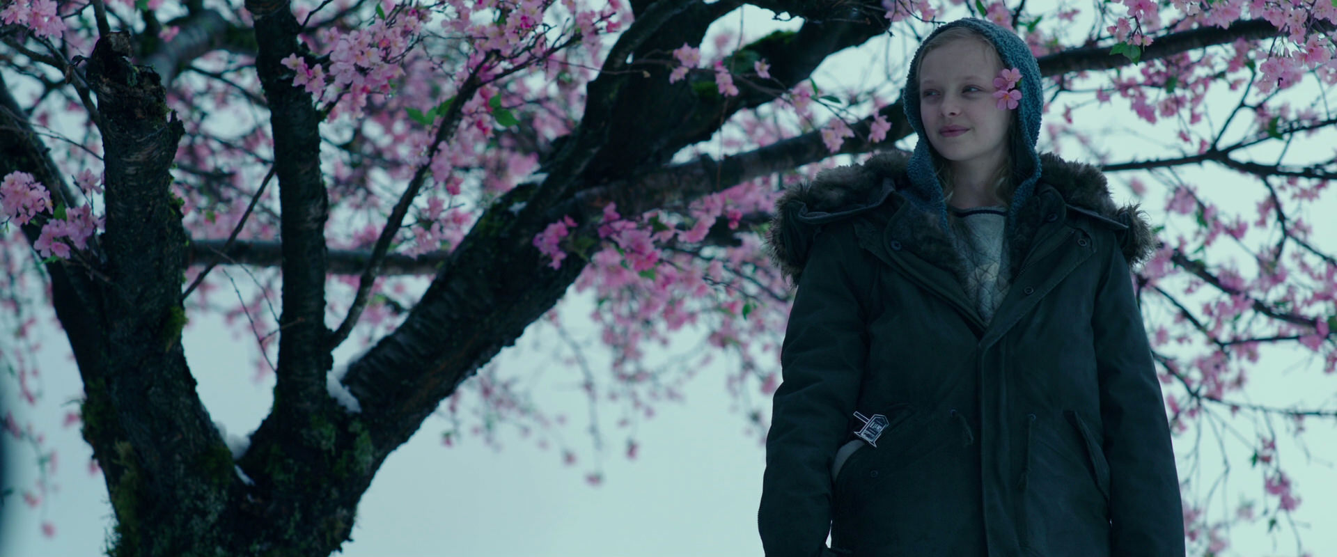 War for the Planet of the Apes (2017) screencap 6363