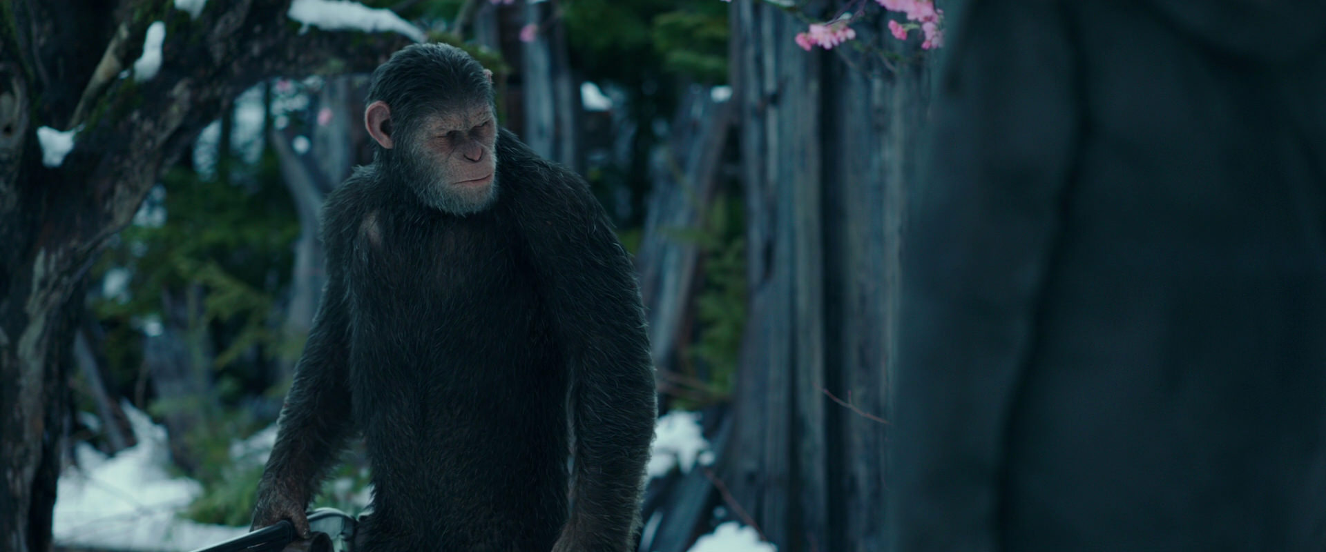 War for the Planet of the Apes (2017) HD screenshot 6371