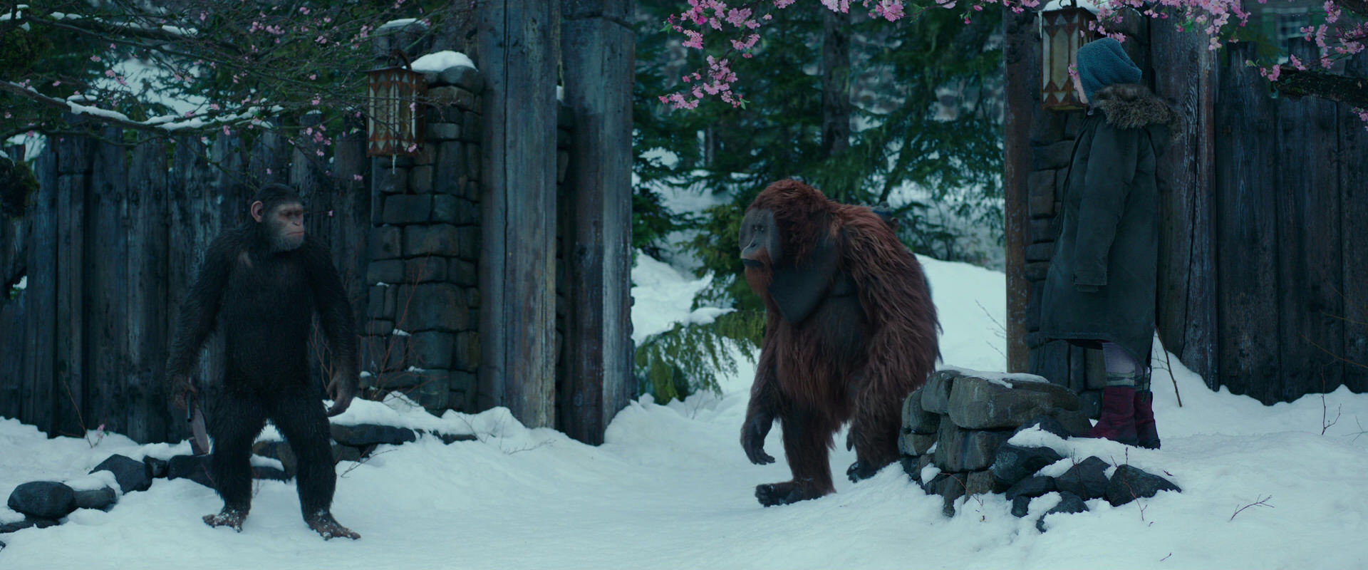 War for the Planet of the Apes (2017) movie still 6373