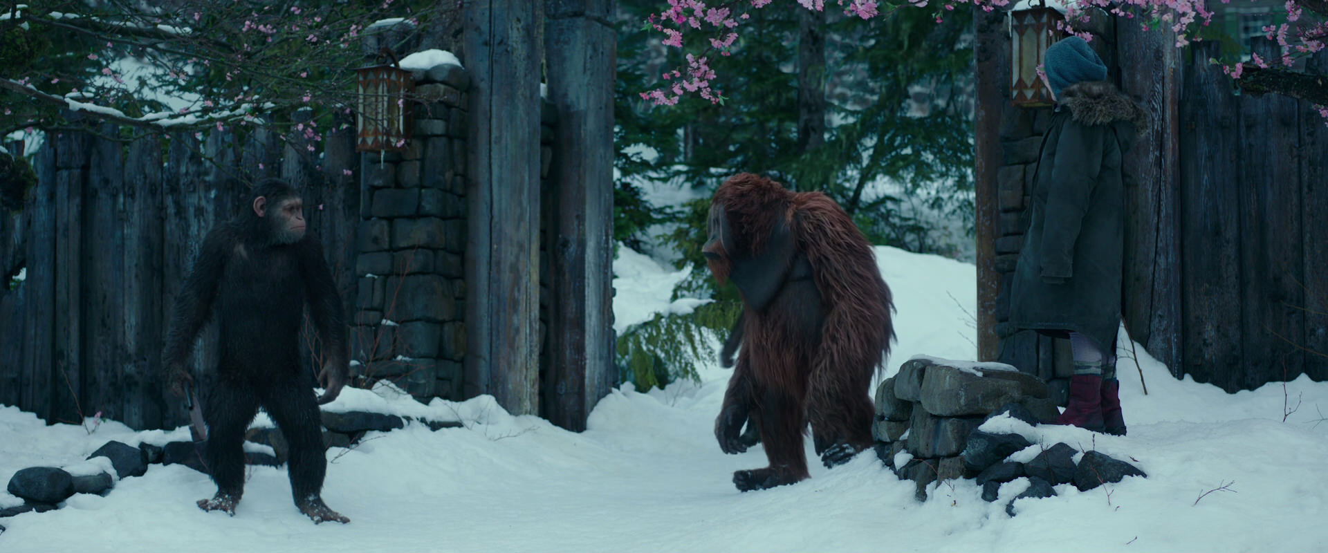 War for the Planet of the Apes (2017) HD screenshot 6374