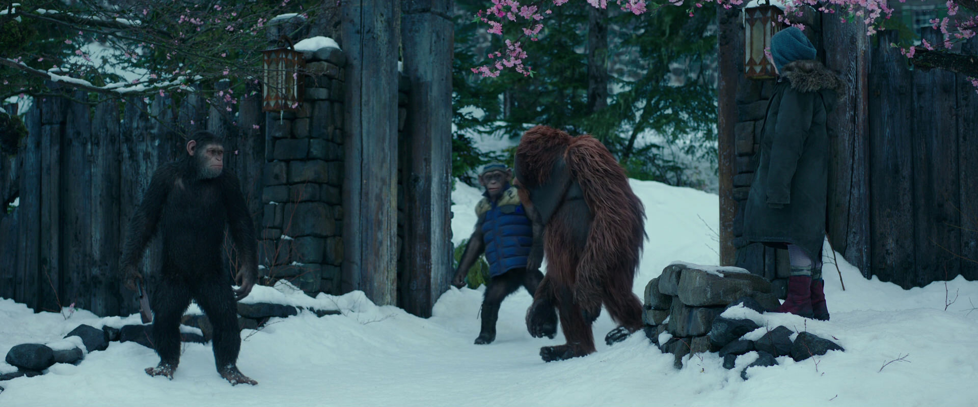 War for the Planet of the Apes (2017) movie still 6376