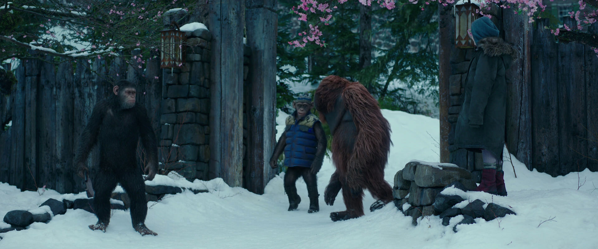 War for the Planet of the Apes (2017) HD screenshot 6377