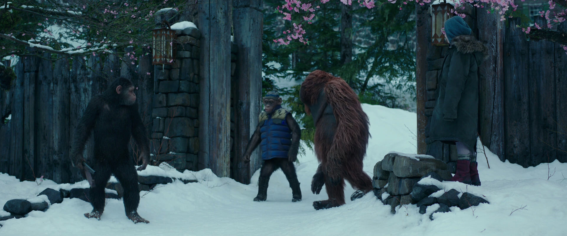 War for the Planet of the Apes (2017) screencap 6378