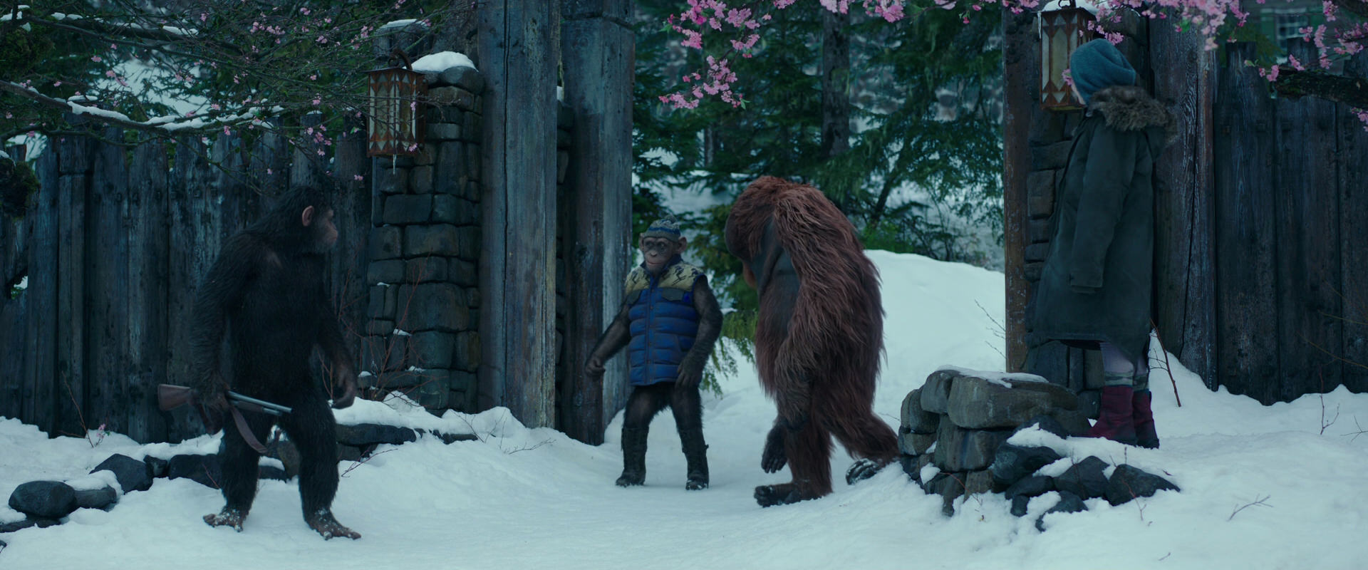War for the Planet of the Apes (2017) movie still 6385